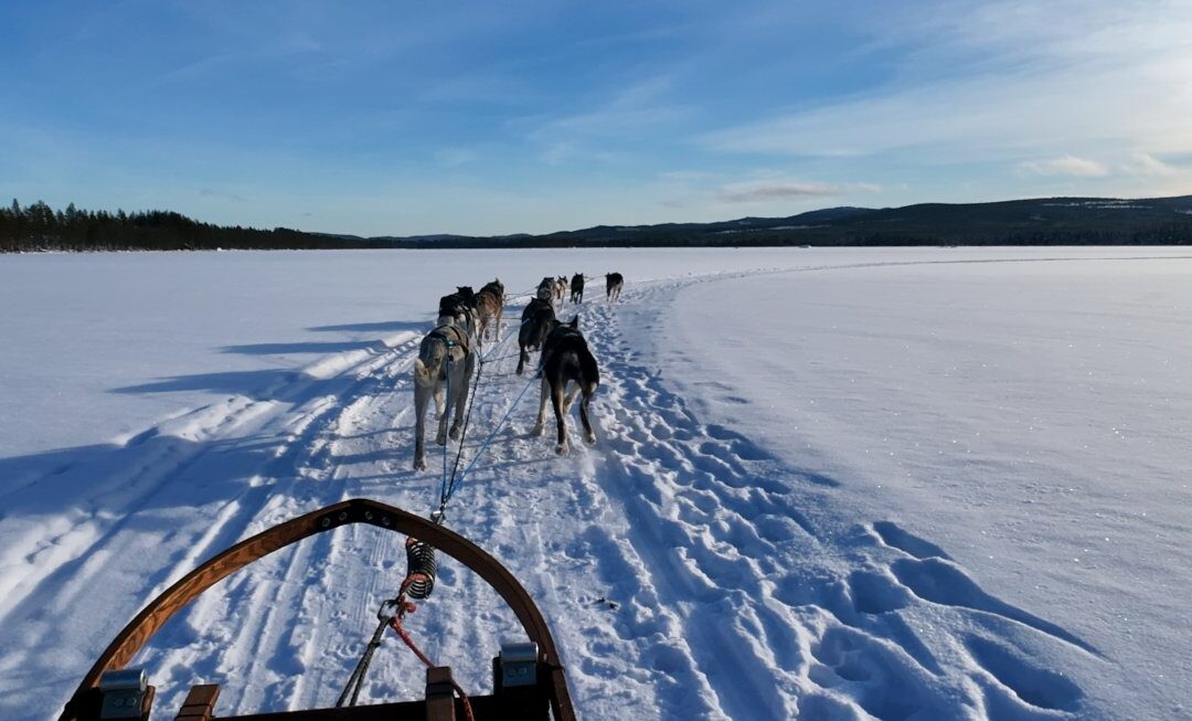 Schwedisch Lappland – Winterabenteuer bis nach Kiruna