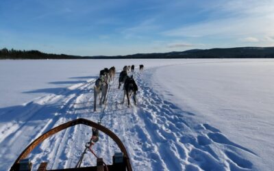 Schwedisch Lappland – Winterabenteuer bis nach Kiruna